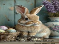 Hasenfr�hst�ck: Morgenstimmung mit Kuschelofaktor