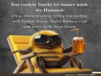 Chillige Hummel auf Urlaub!