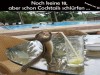 weiter