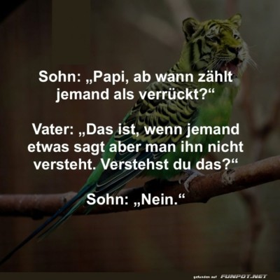 Wenn-Tiger-und-Papagei-fusionieren.jpg von Goldlocke