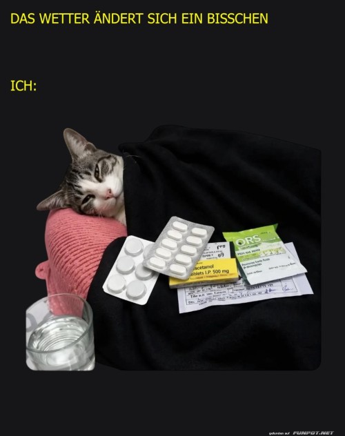 Wenn-das-Wetter-zur-Erk�ltung-einl�dt.jpg auf www.funpot.net