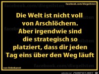 diegeilsten Arschloecher