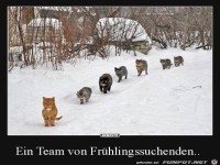 Fr�hlings-Sucher