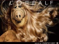 Und die Frisur sitzt