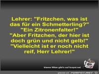 Lehrer: Fritzchen, was ist das f�r ein Schmetterling?