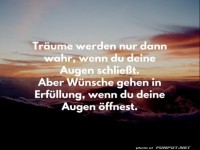 Traeume werden nur dann wahr