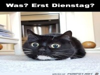 Was? Erst Dienstag?