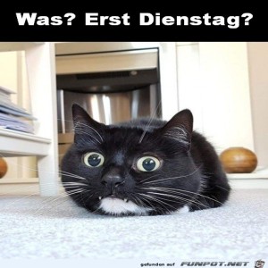Begrüßungsbild