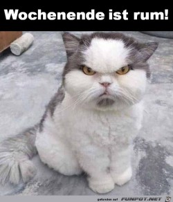 Wochenende-ist-rum.jpg auf www.funpot.net