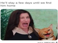 Er bleibt nur ein paar Tage