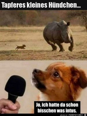 Ich-hatte-bisschen-was-intus.jpg auf www.funpot.net