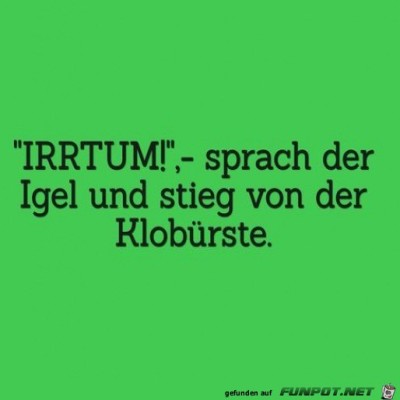 Igel-hat-sich-geirrt.jpg von Pina