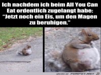 Ziemlich voll gefressen