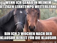 L�uft gut mit dem Lernen