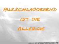 Ausschlaggebend ist die Allergie