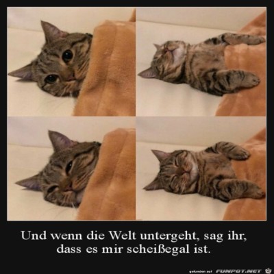 Ist-mir-egal.jpg von Sweetheart