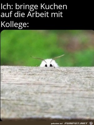 Wenn-es-Kuchen-gibt.jpg auf www.funpot.net