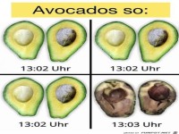 Avocados
