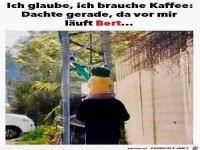 K�nnte man auch meinen