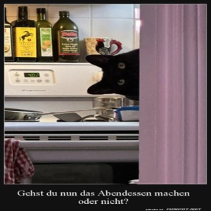 fun-Bild: Mach jetzt endlich