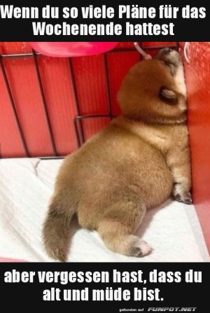 So-viele-Pl�ne.jpg auf www.funpot.net