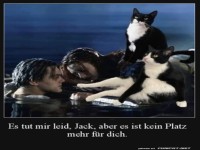 Katzen und Titanic: Kein Platz f�r Jack