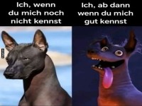 Zwei Gesichter eines Hundes