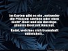 weiter