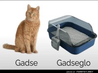 Wenn der Gadse aus dem Gadseglo plaudert!