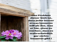 das problem dieser welt