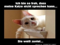 Geheimnistrger auf vier Pfoten