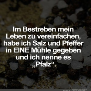 Pfalz-f�r-Fortgeschrittene:-Die-Ein-M�hlen-L�sung.jpg von Ida-1969