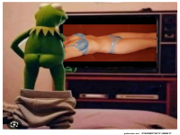Kermit und sein TV-Traum!