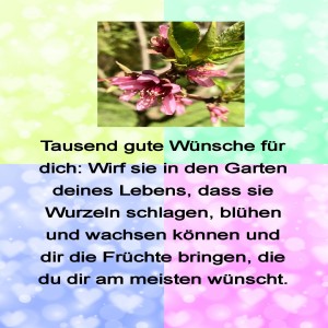 Tausend-gute-w�nsche-f�r-dich.jpg von Fabioma