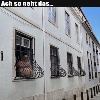 Der-neue-Balkontrend.jpg von Elijas1995