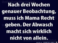 der-abwasch