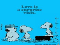 ueberraschender besuch