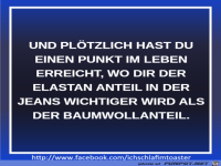 Jeans-Anteile