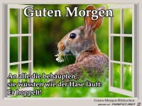 Guten morgen