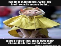 Das Wetter
