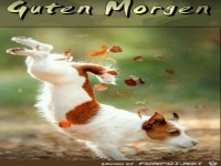 Guten Morgen