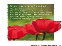 was ich dir wuensche 5