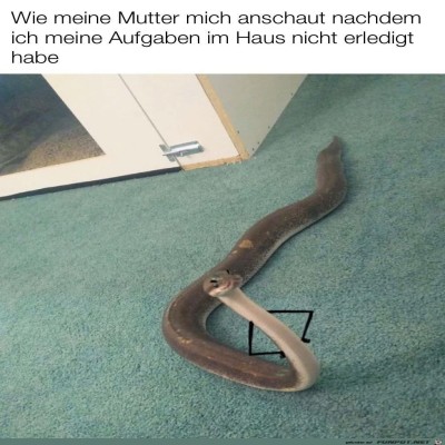 So-kann-meine-Mutter-gucken.jpg von Pius