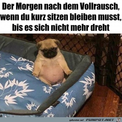 Erst-mal-langsam-machen.jpg von Lou