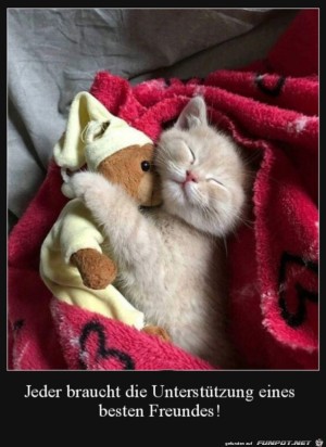 Der-beste-Freund.jpg auf www.funpot.net