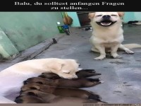 Du solltest Fragen stellen