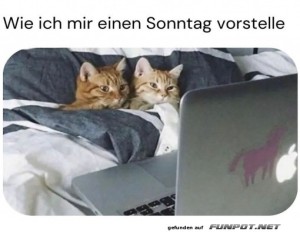 fun-Bild: Gemütlicher Sonntag