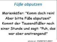 F��e abputzen