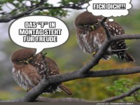 Das F in Montag