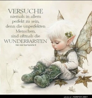 Versuche-niemals.jpg auf www.funpot.net